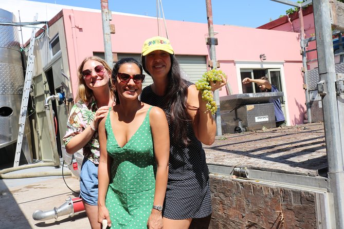 "YAMAS" - Winery tour &wine tasting - Book it or pass: my decision rule for YAMAS