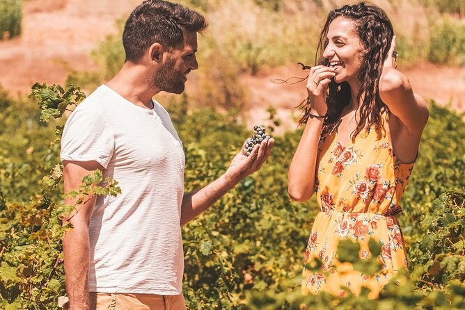 Your Private Driver & Chauffeur Service in Crete from Chania - Stops You Can Plan Around: Tastings, Rethymno, Caves, and Falasarna