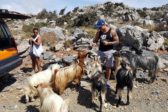 Zeus Cave, Lassithi Plateau, Olive Oil Factory, Kritza, Pottery - Guides who make the day: Petra, Michael, Rolf, and others